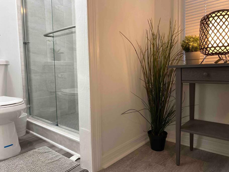 Chic Bungalow Apartment Steps From Armature Works & Downtown Riverwalk Tampa Extérieur photo
